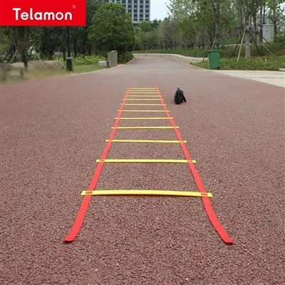 Greita Agility Ladder treniruotė